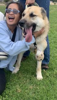 Tiffany Celis is the Web Editor for the Women's Center, pictured here with a very happy german shepard mix dog. She is wearing a blue sweater. 